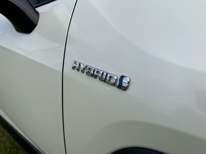 2019 Toyota RAV4 Cruiser
