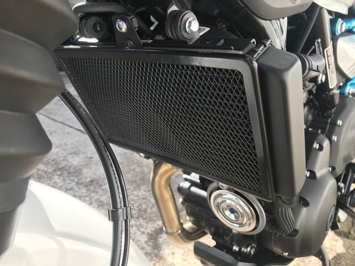2025 Royal Enfield 2025 Royal Enfield 450CC GUERRILLA 450