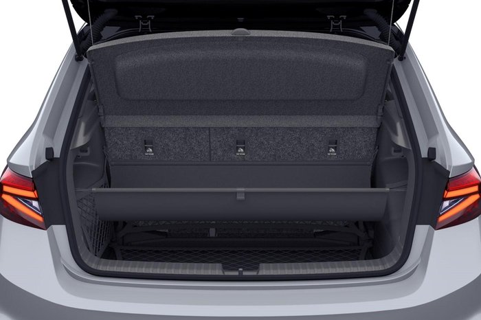 2025 SKODA Fabia 110TSI Monte Carlo