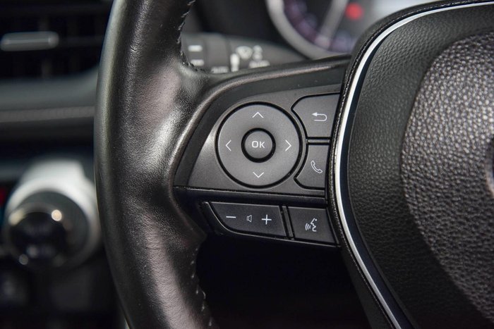 2019 Toyota RAV4 Cruiser
