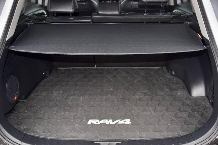 2019 Toyota RAV4 Cruiser