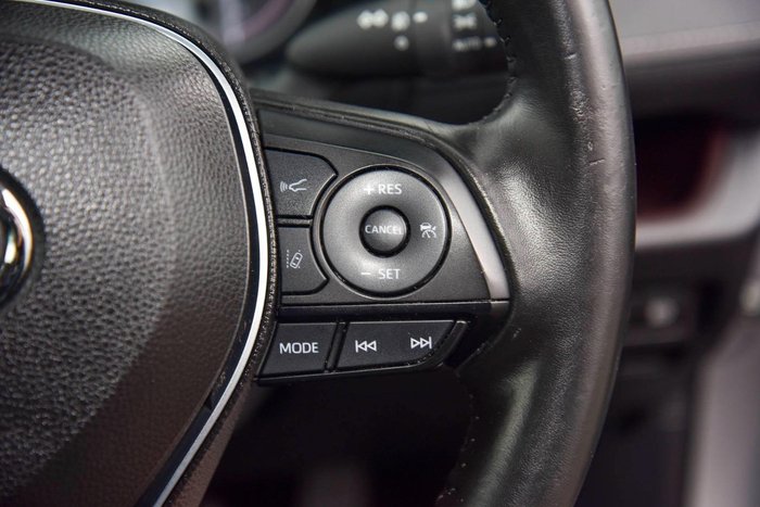 2019 Toyota RAV4 Cruiser