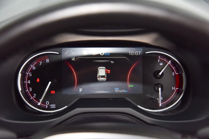 2019 Toyota RAV4 Cruiser