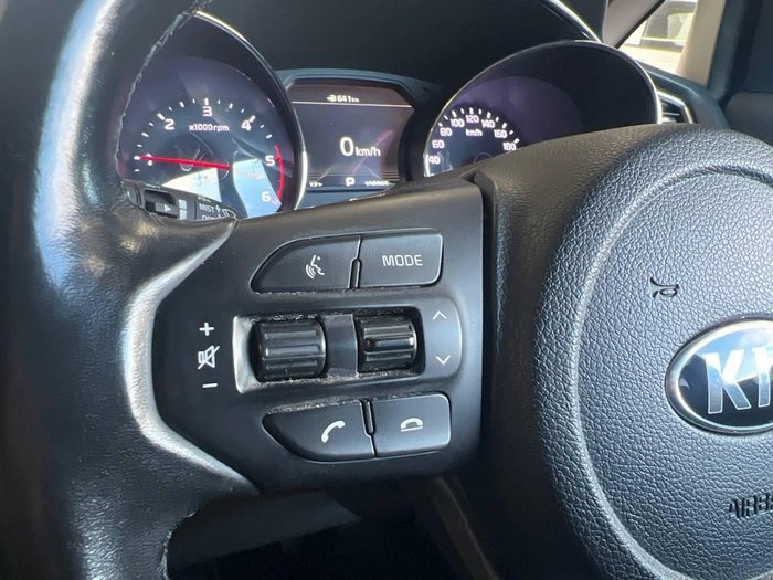 2019 Kia Carnival Platinum
