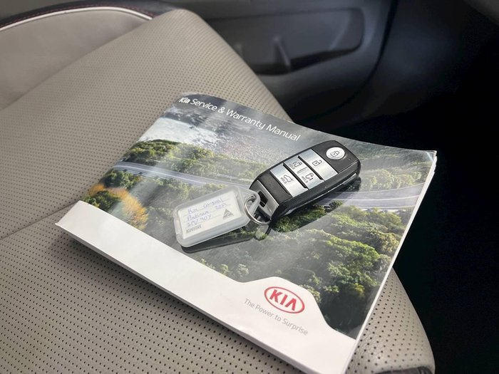 2019 Kia Carnival Platinum
