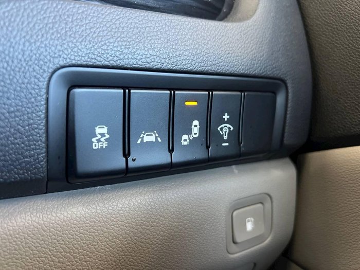 2019 Kia Carnival Platinum