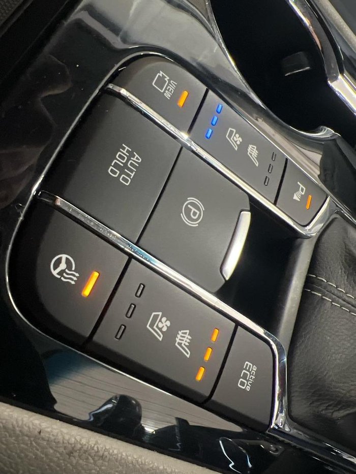 2019 Kia Carnival Platinum