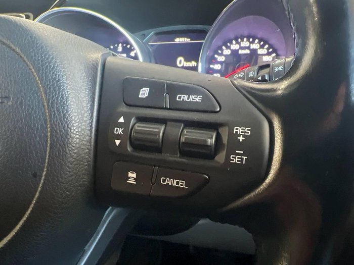 2019 Kia Carnival Platinum