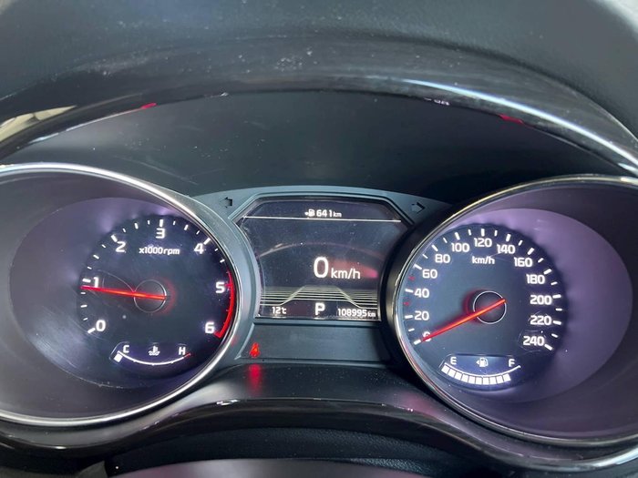 2019 Kia Carnival Platinum