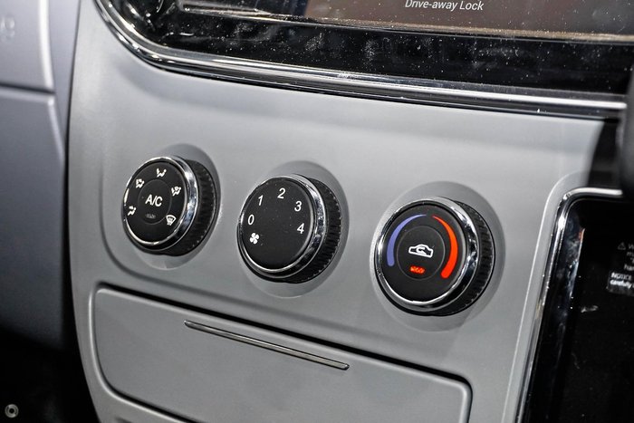 2024 LDV V80