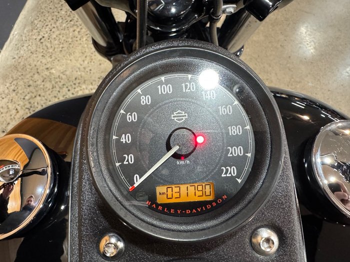 2017 Harley-davidson FXDLS LOW RIDER S Black