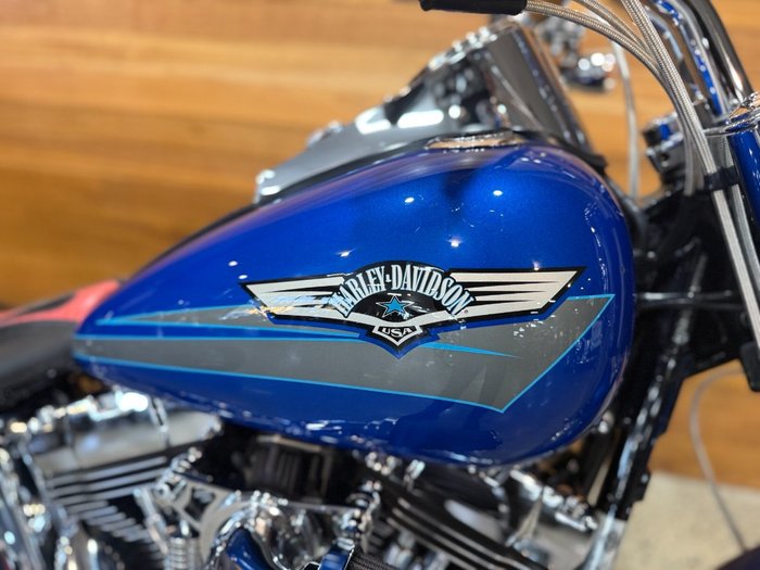 2008 Harley-davidson FLSTF FAT BOY Blue