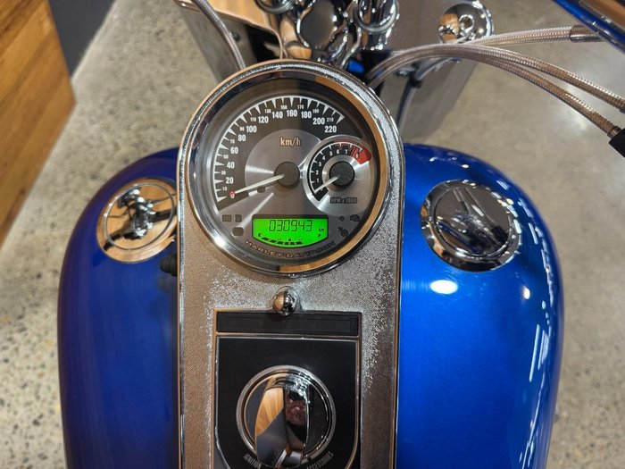 2008 Harley-davidson FLSTF FAT BOY Blue
