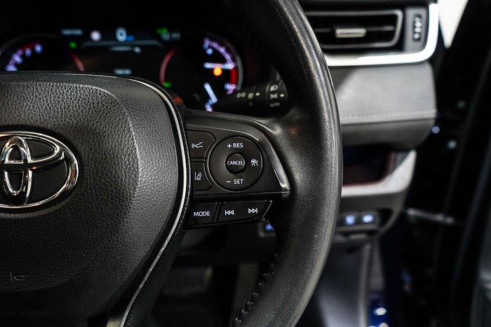 2019 Toyota RAV4 Cruiser