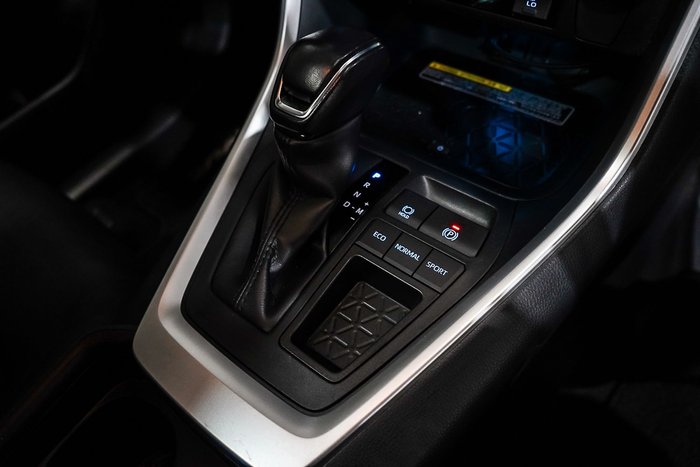 2019 Toyota RAV4 Cruiser