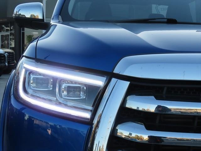 2020 GWM Ute Cannon