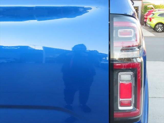 2020 GWM Ute Cannon