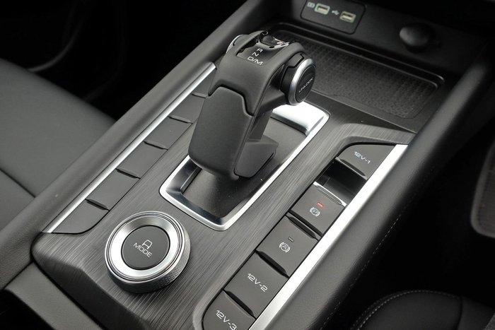 2025 GWM Cannon Premium