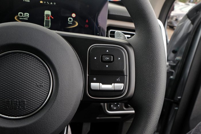 2025 GWM Cannon Premium