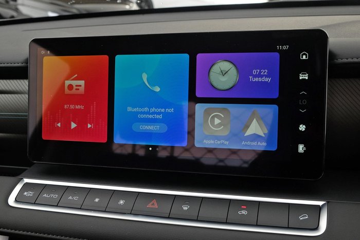 2025 GWM Cannon Premium