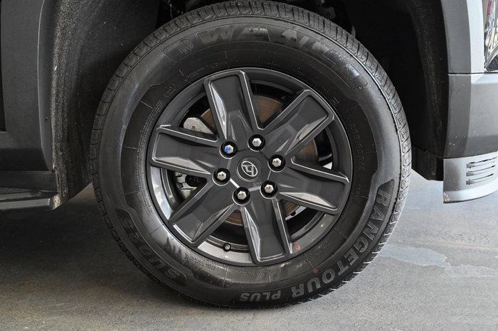 2025 LDV Terron 9 Origin