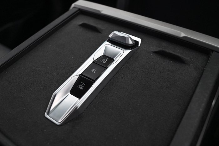 2025 LDV Terron 9 Origin