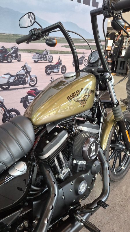 2017 Harley-davidson XL883N IRON 883 Olive Gold