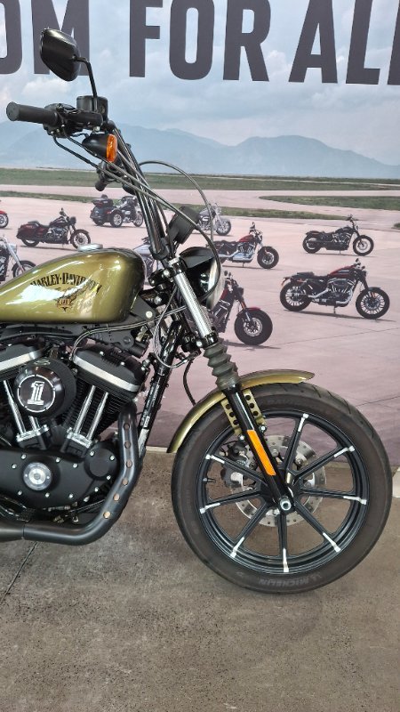 2017 Harley-davidson XL883N IRON 883 Olive Gold