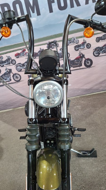 2017 Harley-davidson XL883N IRON 883 Olive Gold