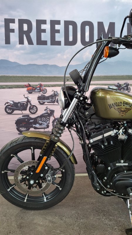 2017 Harley-davidson XL883N IRON 883 Olive Gold