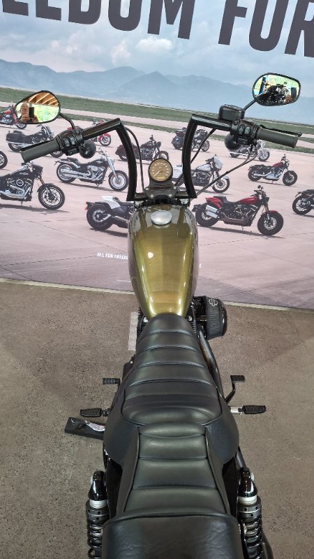 2017 Harley-davidson XL883N IRON 883 Olive Gold