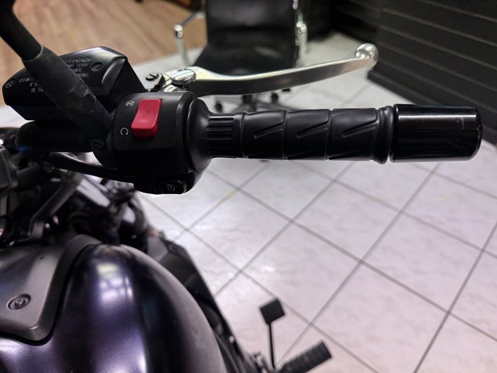2020 Kawasaki VULCAN S (EN650D LAMS) Purple