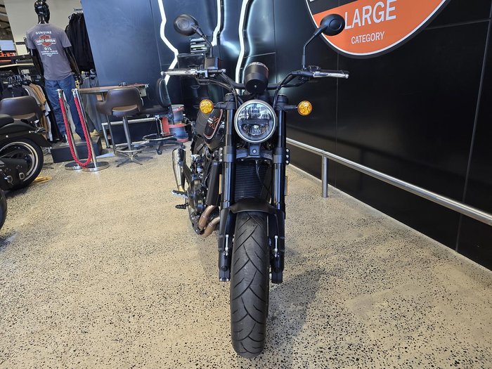 2024 Harley-Davidson X 500 X Black