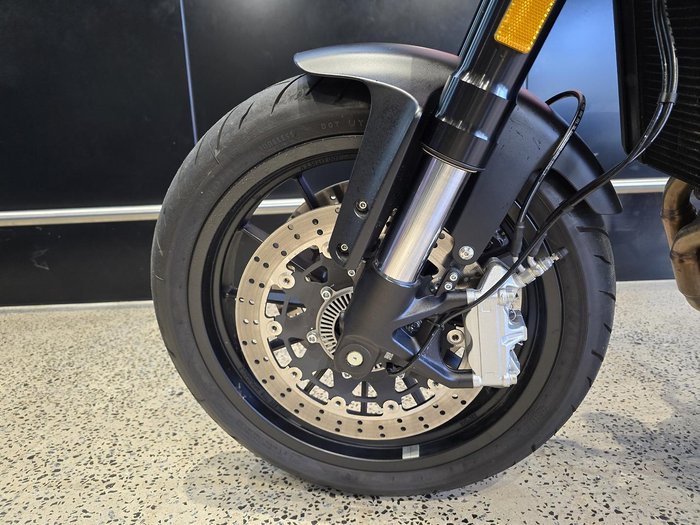 2024 Harley-Davidson X 500 X Black