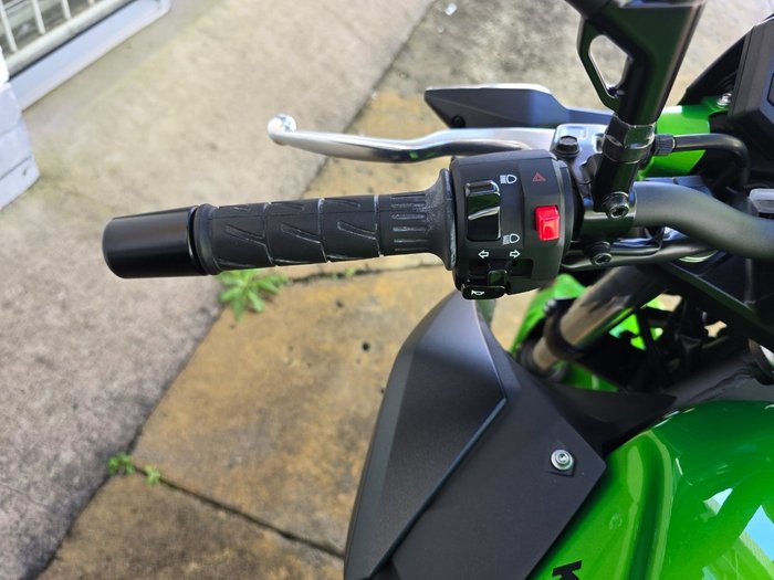 2025 Kawasaki Z500 Green