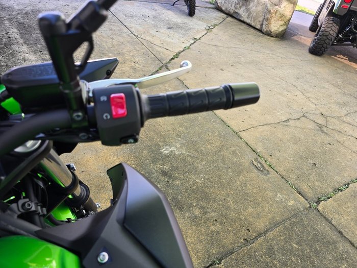 2025 Kawasaki Z500 Green