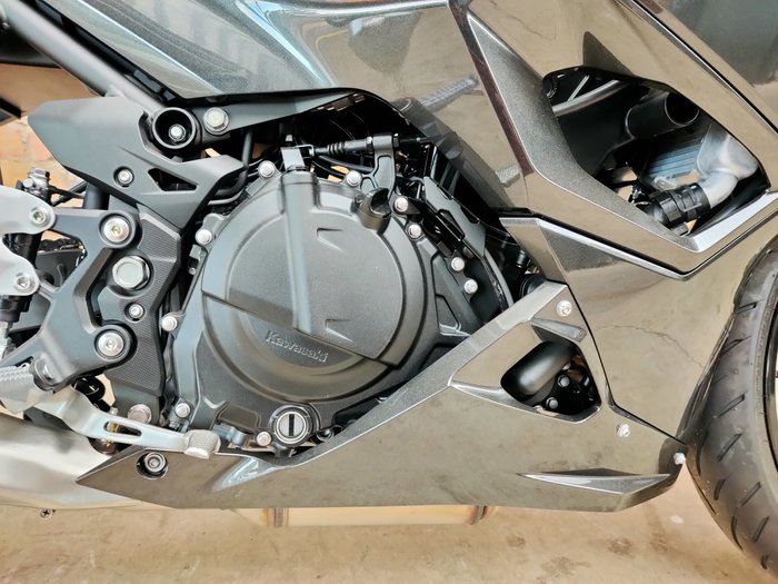2025 KAWASAKI NINJA 500 (EX500G) ROAD GREY