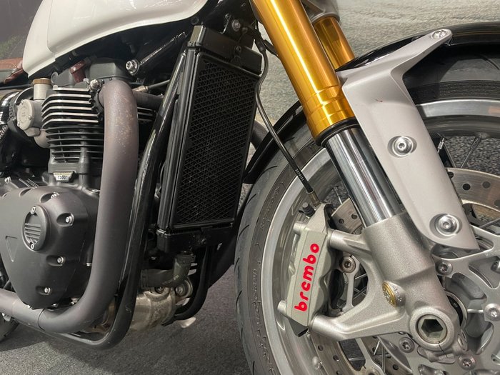 2019 Triumph THRUXTON R White