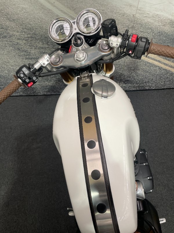 2019 Triumph THRUXTON R White