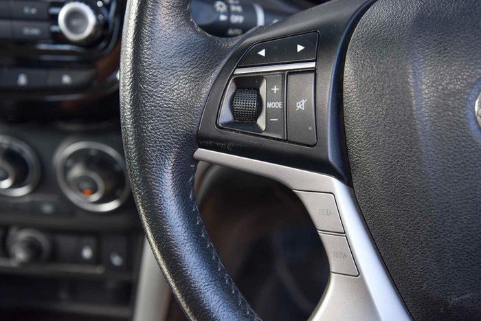 2019 Great Wall Steed