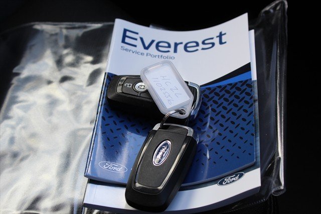 2024 Ford Everest Sport MY24.50 BLUE