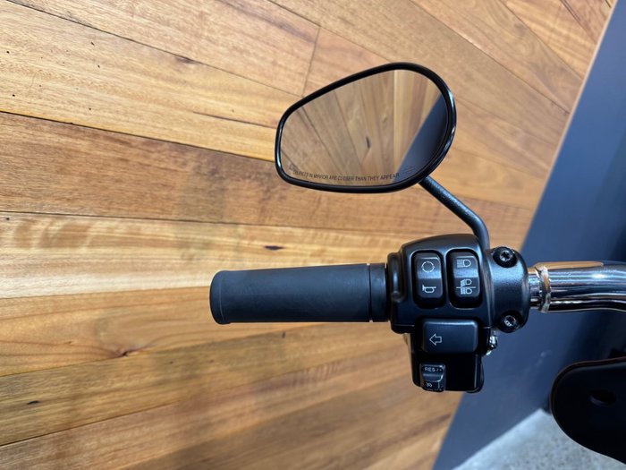 2019 Harley-davidson FLSB SPORT GLIDE RED