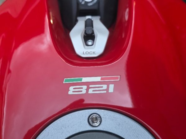 2019 DUCATI MONSTER 821 RED