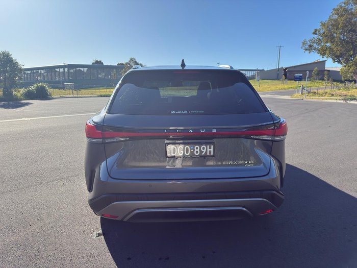 2024 Lexus RX 350h Sports Luxury