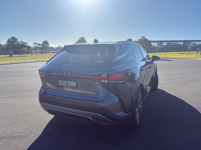 2024 Lexus RX 350h Sports Luxury