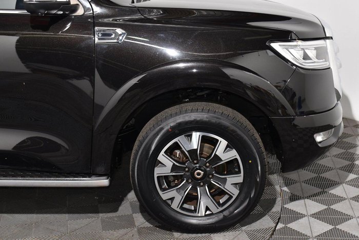 2020 GWM Ute Cannon-X