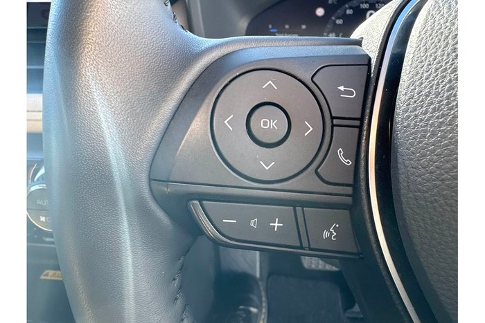 2024 Toyota RAV4 Cruiser
