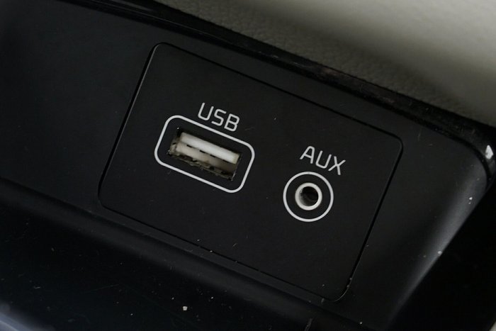 2017 Kia Carnival Platinum