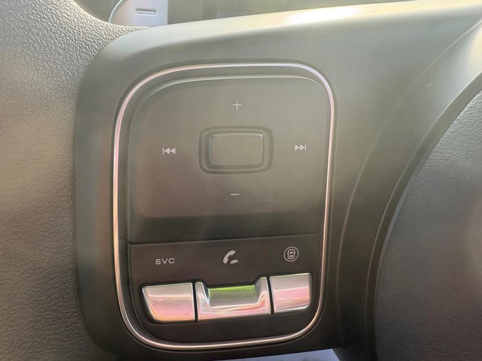 2025 GWM Cannon Premium