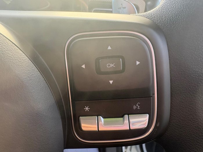 2025 GWM Cannon Premium